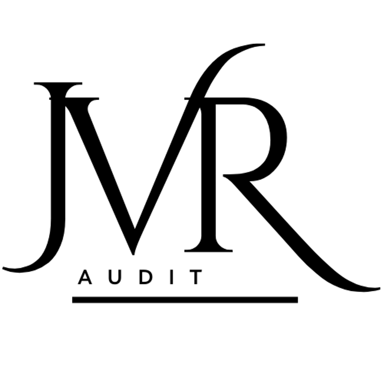 Janse Van Rensburg Audit logo