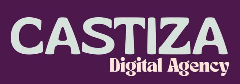 Castiza Digital Agency logo