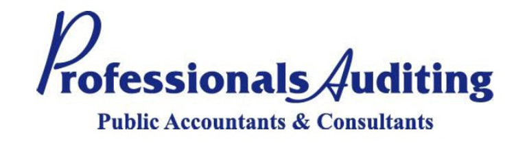 Professionals Auditing logo