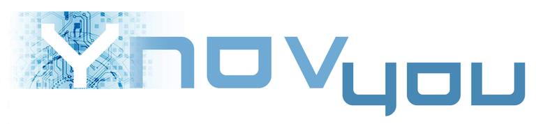YnovYou logo