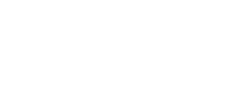Pacific Group logo