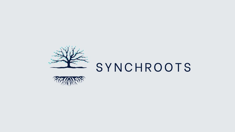 SYNCHROOTS logo