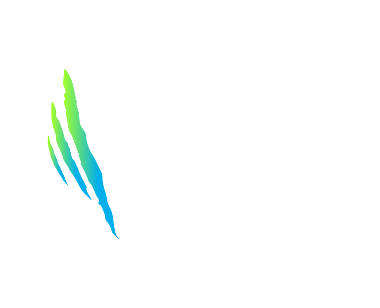 Wolf Agency logo