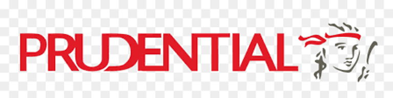 expatsinsuranceindonesia.com logo