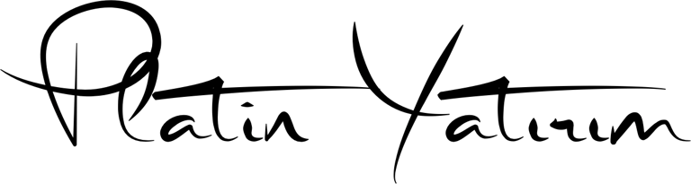 Platin Yatırım logo