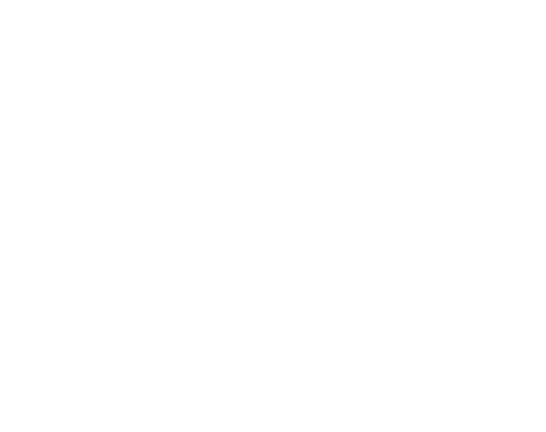alldaygk9 logo