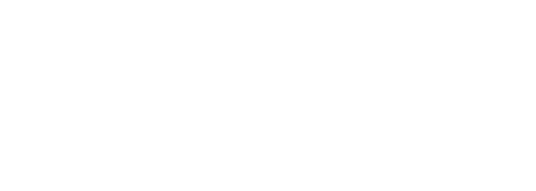 SEYOUN TBR TIRE logo