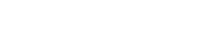 INFORMATICA REMOTA logo