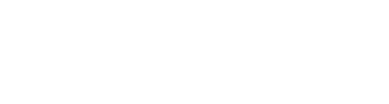 Lean X logo