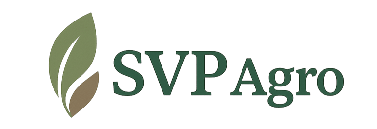 Sviluppi logo
