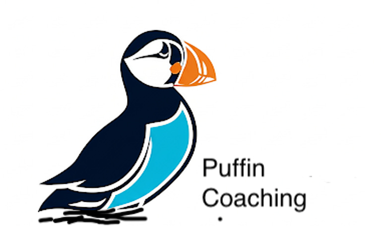Puffin Navigate Coaching logo