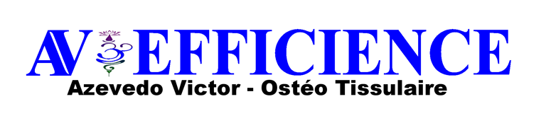 https://www.avefficience.fr logo