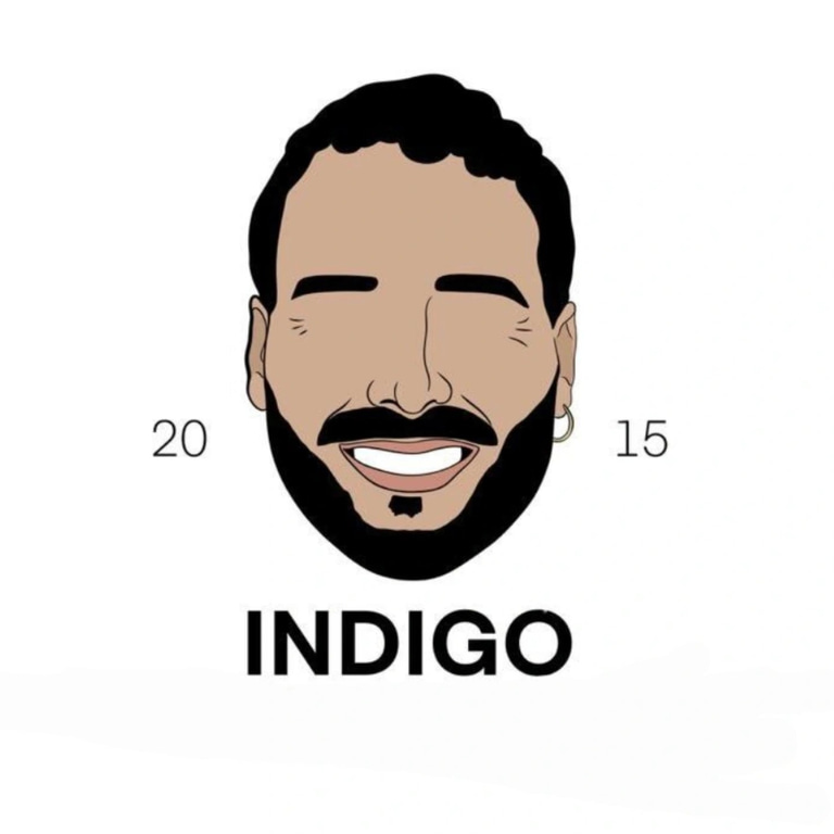 Indigo Vins logo