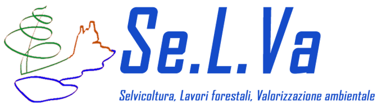 studioselva.eu logo
