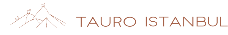 TAURO ISTANBUL logo