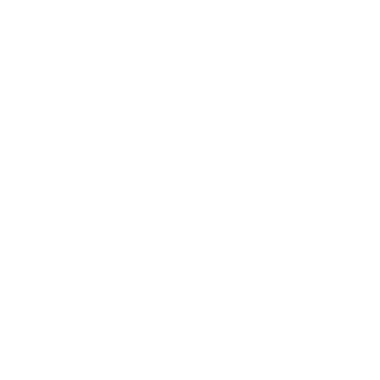 Ricardo Salatini logo