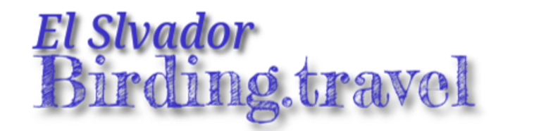 ElSalvador.birding.travel logo