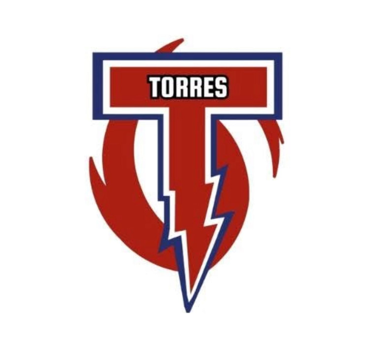 Servicios Integrales Torres logo