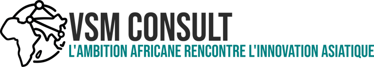 VSM Business Solutions logo