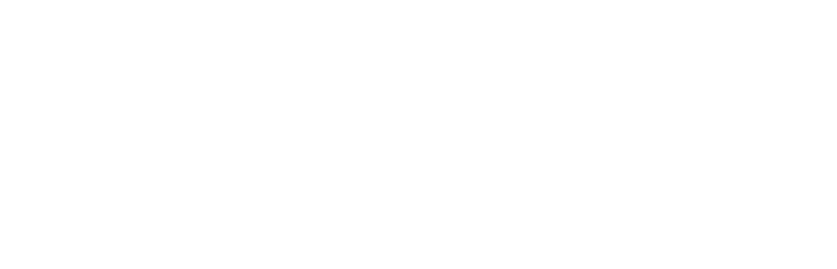Nobleman Group logo