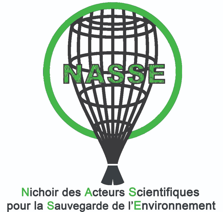 NasISP-BUKAVU.ORG logo