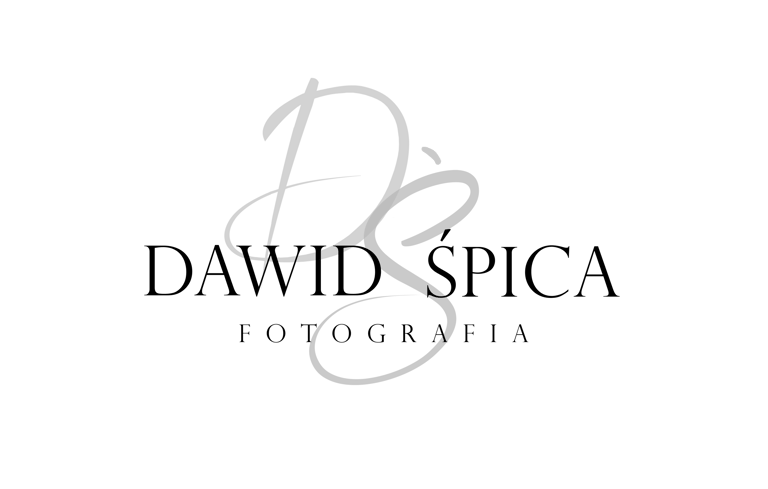 Dawid Śpica Fotografia logo