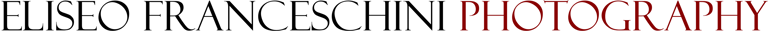 Eliseo Franceschini Photography logo