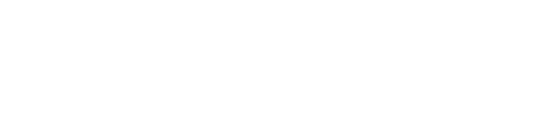 TRITON logo