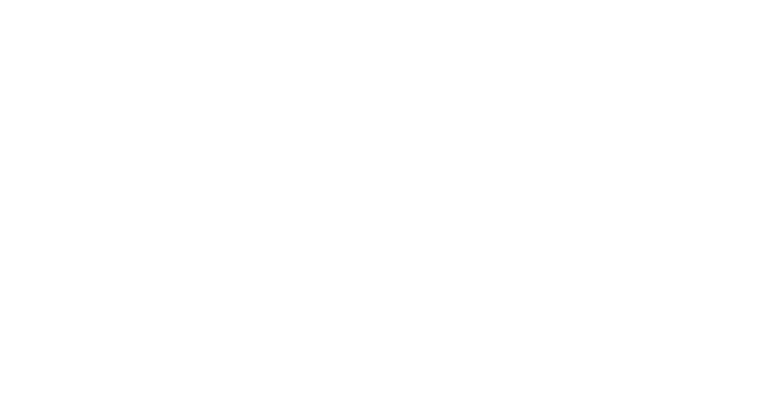 Saluz logo