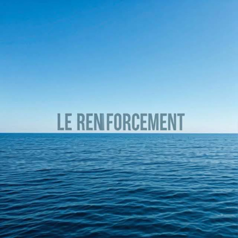 LE RENFORCEMENT logo