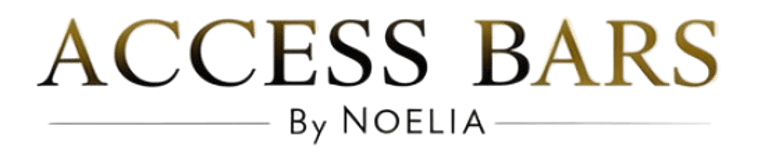 Access Barras logo