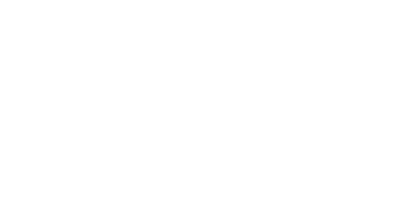 Xalane logo