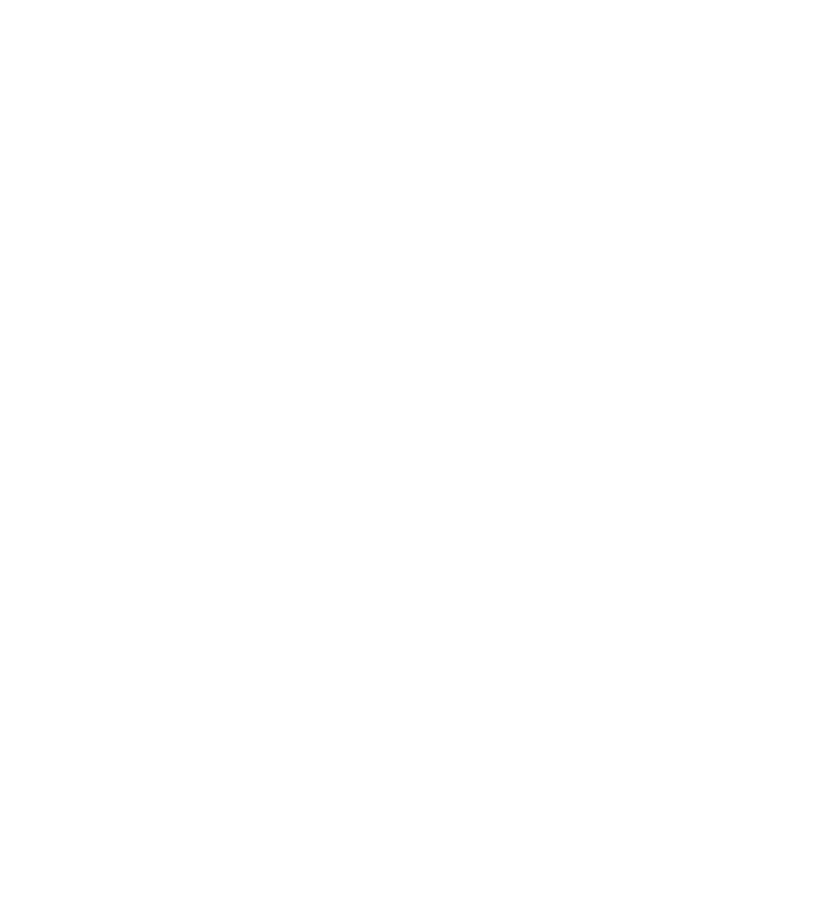 bl formation logo