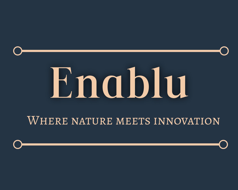 enablu logo
