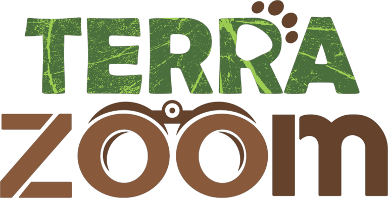TERRA ZOOm logo