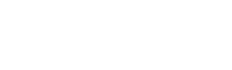 Vianaruiz logo