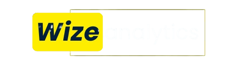 wizeanalytics logo