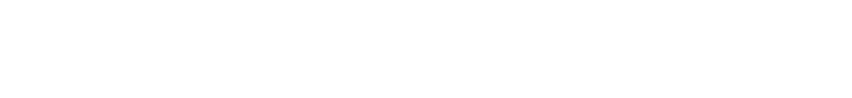 Palasco Studio logo