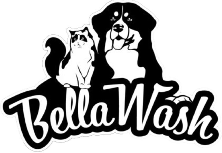 Bella Wash logo