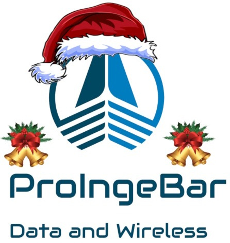 PROINGEBAR SPA logo
