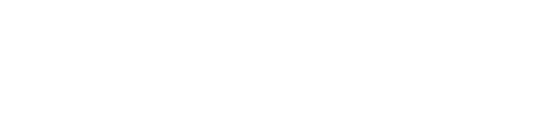 XAV13R logo