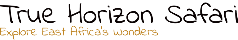 True Horizon Safaris logo
