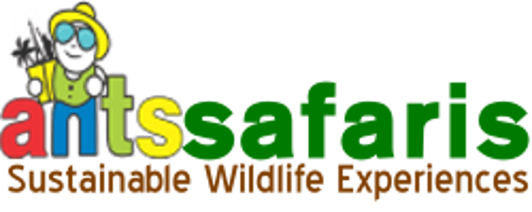 Ants safaris logo