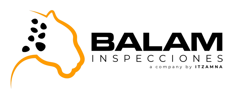 BALAM logo