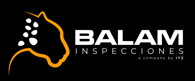 BALAM logo