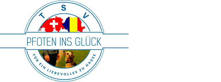 Pfoten ins Glück logo