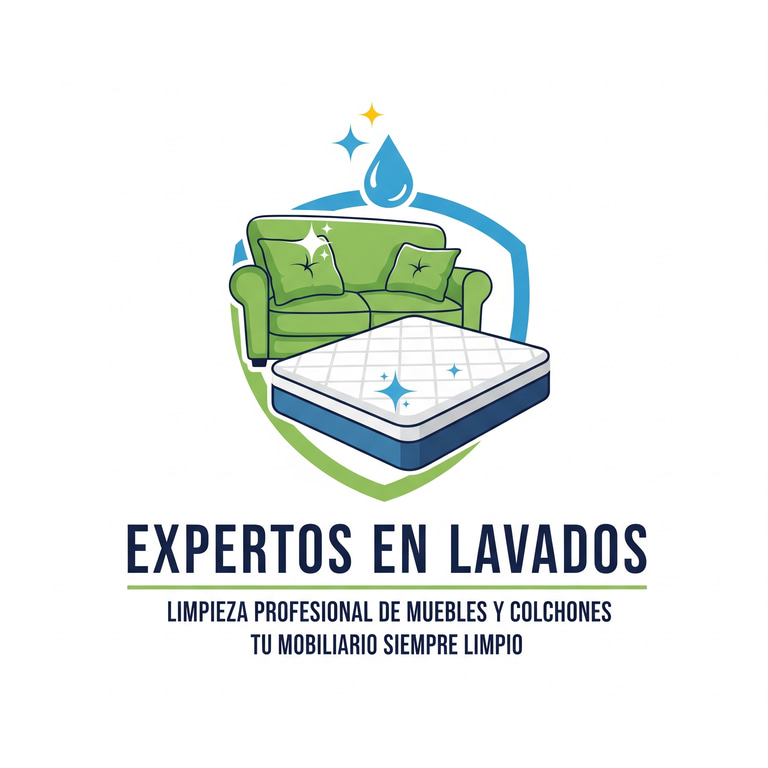 expertos en lavados logo