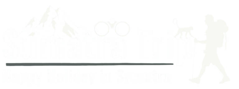 Orangutan Sumatra Trip logo