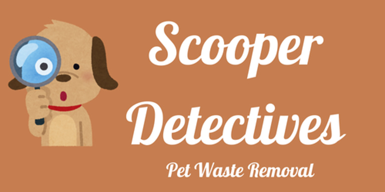 Scooper Detectives logo