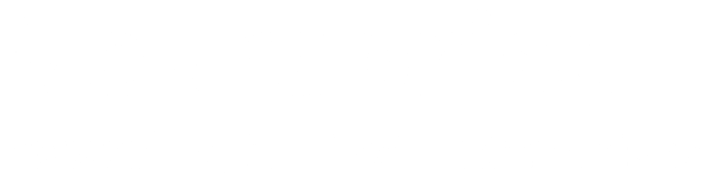 Neuraprise logo